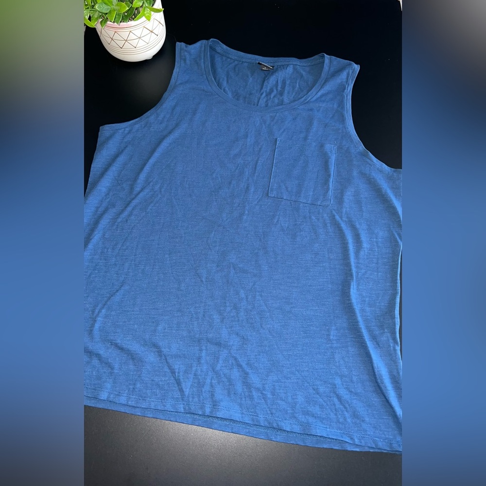 Patagonia worn wear pocketed blue tank top size Large EUC